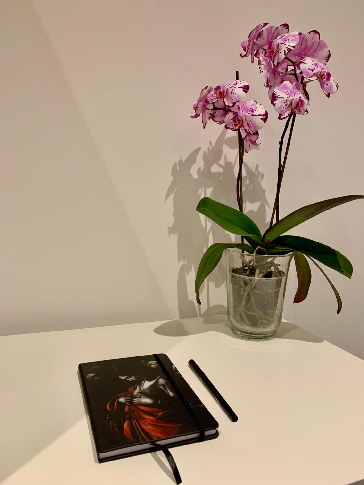 Residenza D'Artista Al Conservatorio Salerno Zewnętrze zdjęcie